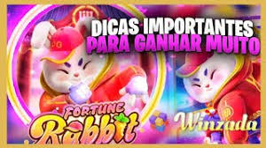 dicas para jogar fortune rabbit